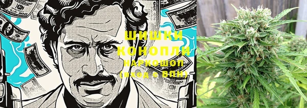 PSILOCYBIN Алзамай