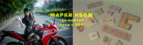 PSILOCYBIN Алзамай