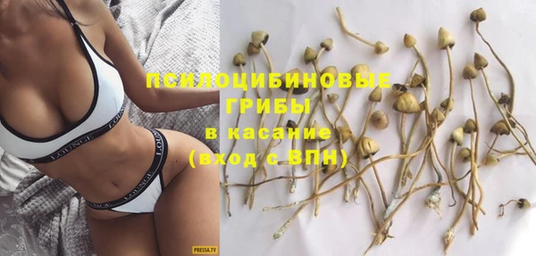 PSILOCYBIN Алзамай
