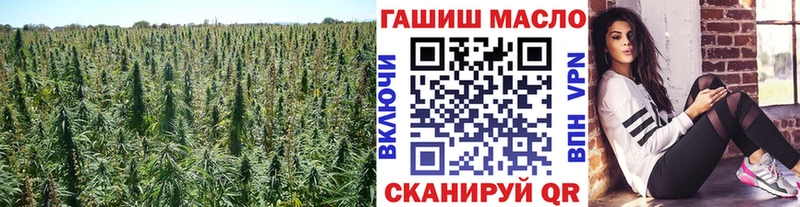 Дистиллят ТГК концентрат  купить наркоту  blacksprut ONION  Заволжье 