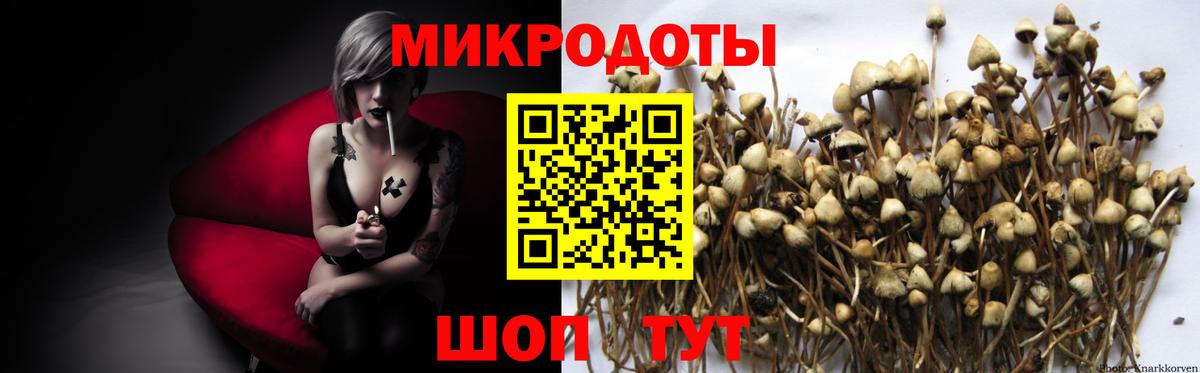 Галлюциногенные грибы Magic Shrooms  Вход с VPN  Заволжье  закладки  Псилоцибиновые грибы Cubensis 